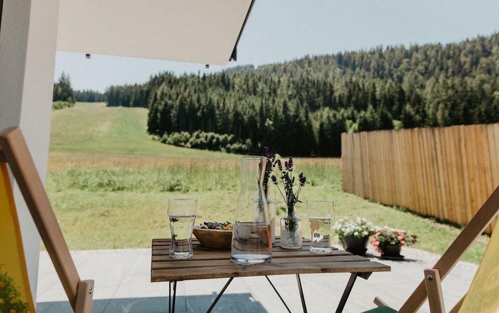 Appartements Almnest Schladming Εξωτερικό φωτογραφία